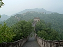 cina 130